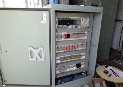 Backup and Peak Power Generation